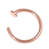 Nose Ring